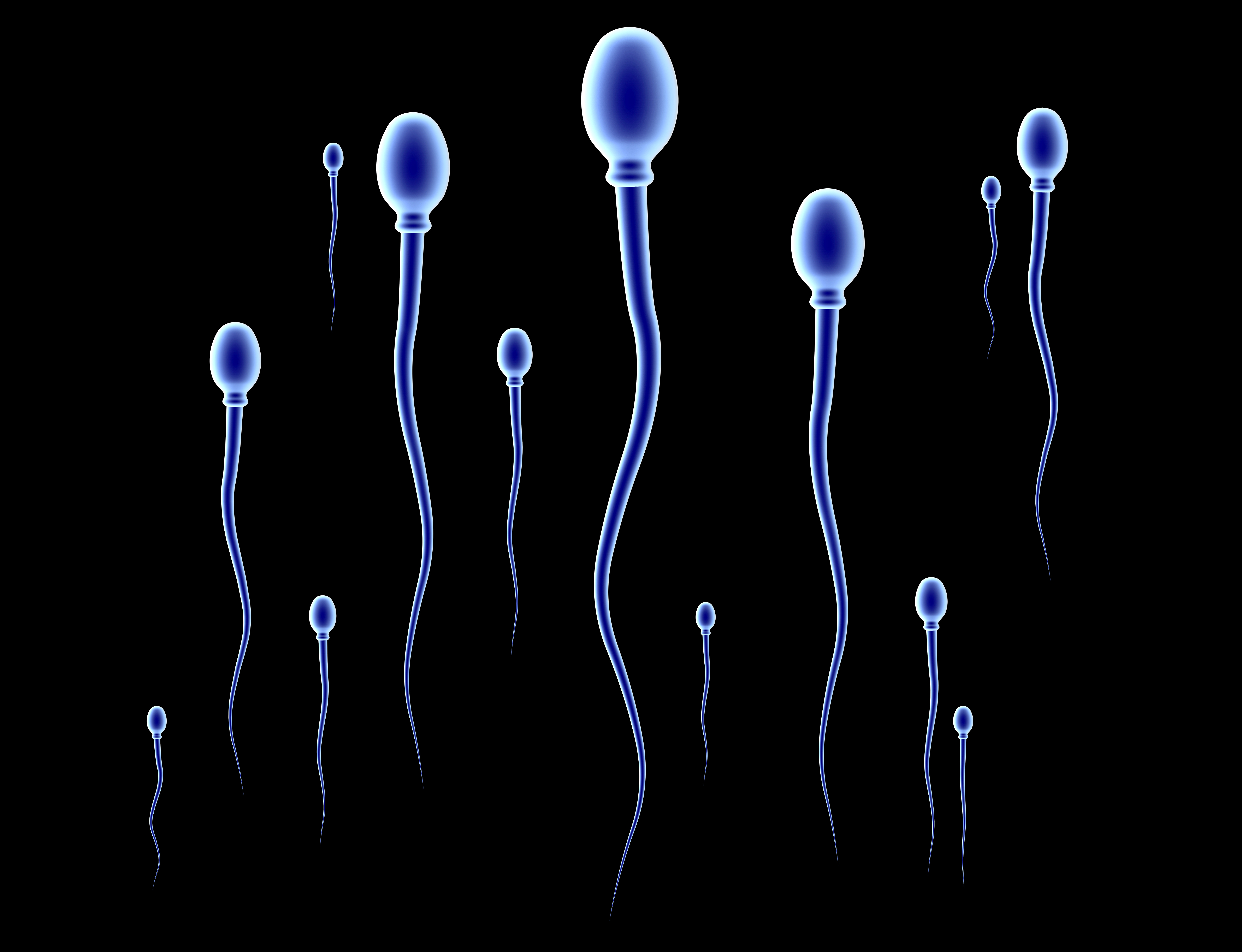 Sperma hals